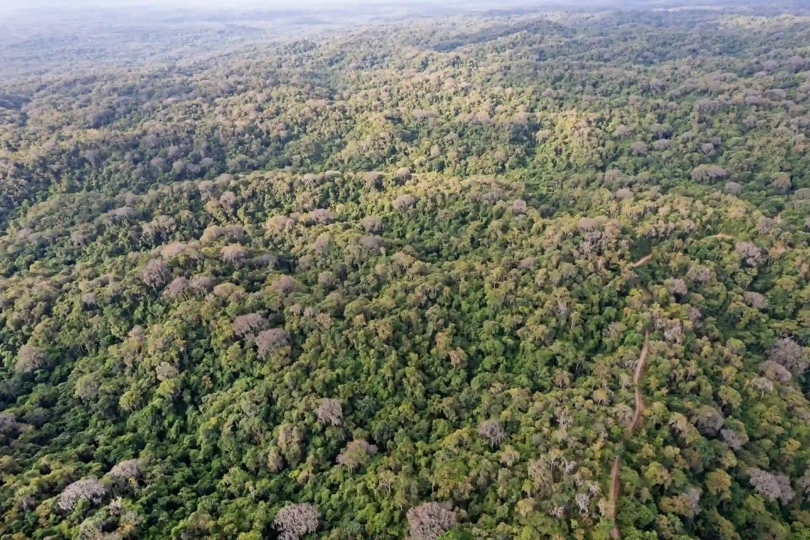 Enrique Atoche, guardaparque del Parque Nacional Cerros de Amotape y un soldado de la conservación