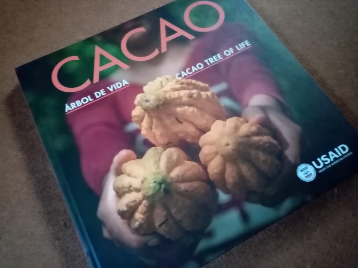 Cacao: Un producto transformador en el Perú