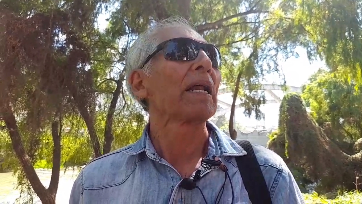 Huánuco: Denuncian tala indiscriminada de árboles en el río Huallaga