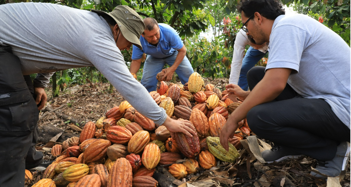 Mañana abre sus puertas el Salón del Cacao y del Chocolate 2023