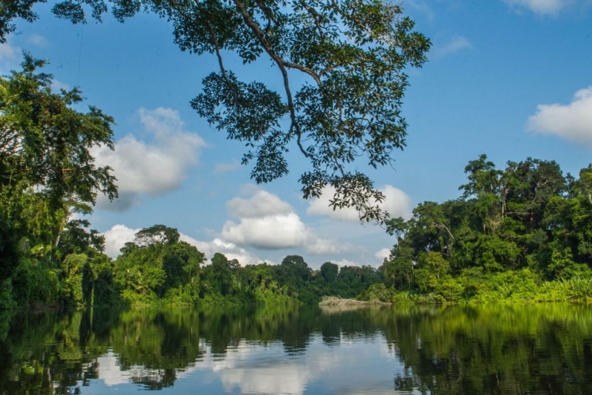 Congresista Salhuana impulsará proyectos de ley para explotar gas natural en la Cuenca de Madre de Dios