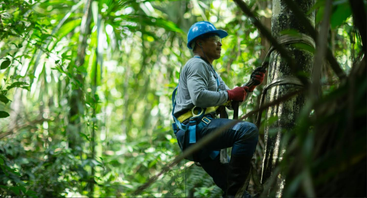 Loreto: Más de 13 mil personas de 120 comunidades indígenas implementan bionegocios