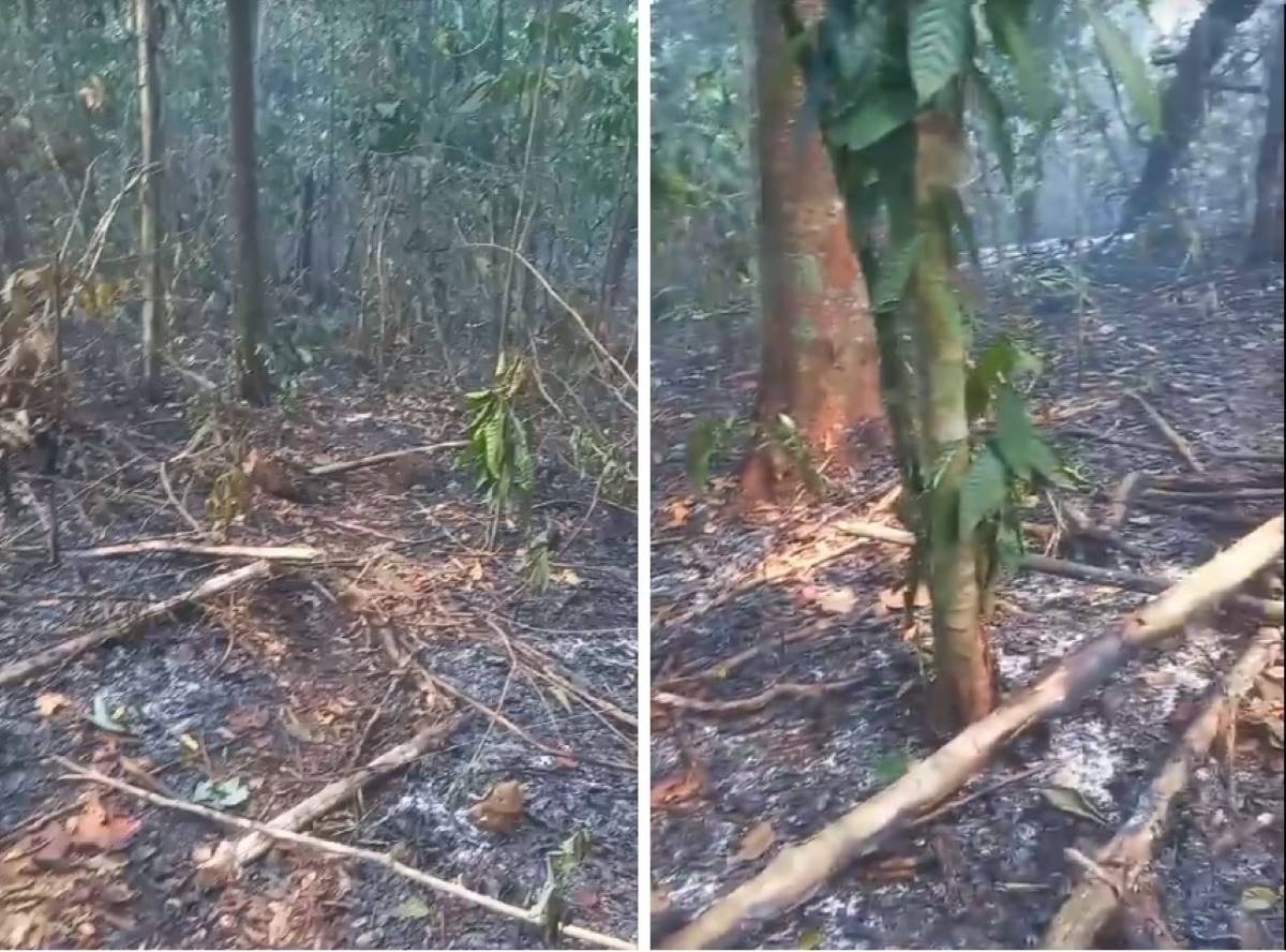 Ucayali: Exigen acciones para detener incendio forestal en la comunidad nativa Fernando Sthall