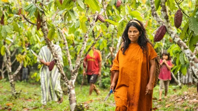 Cooperativa-Kemito-Sankori-logra-la-exportacion-3