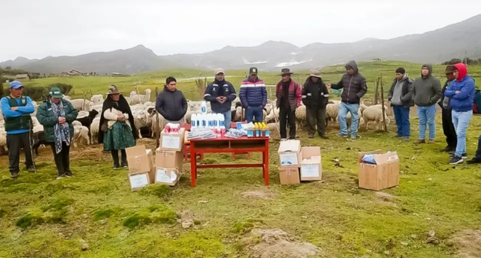 Huánuco: Agrorural impulsa actividades a favor de actividad ganadera en Huamalíes