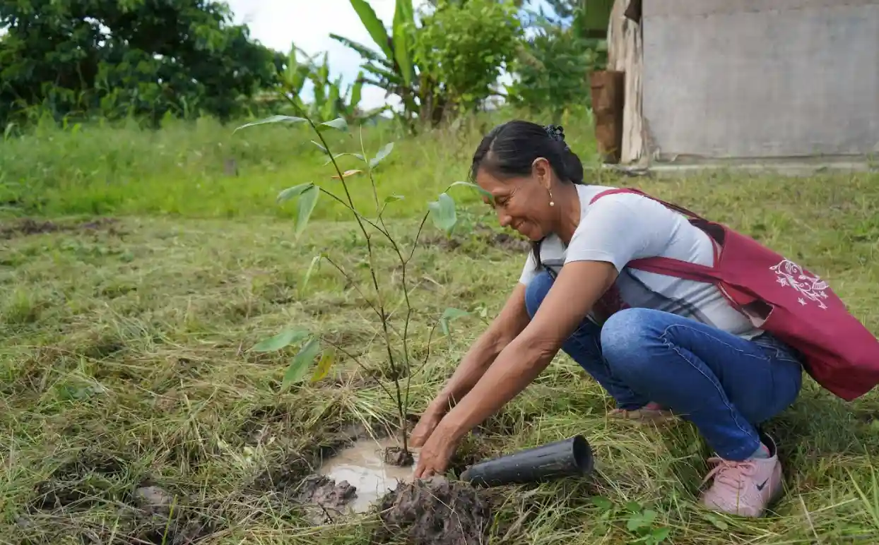 Impulsan desarrollo económico de comunidades nativas de Junín y Pasco