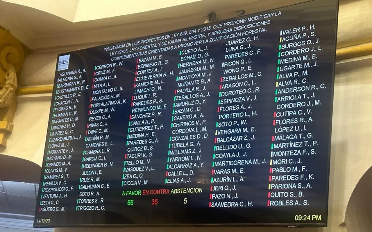 Cambios en Ley forestal reciben críticas por promover deforestación