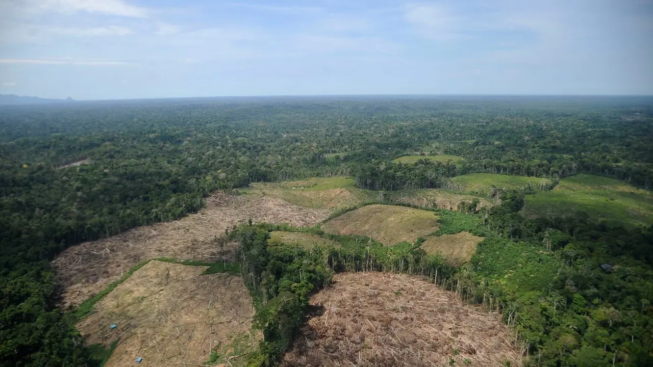 Polémica por accionar del presidente del Congreso sobre Ley Forestal