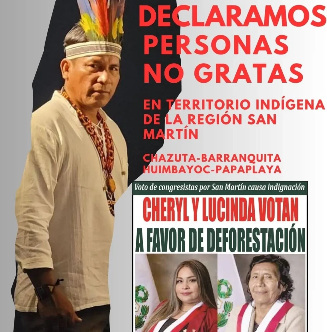 San Martín: Organizaciones indígenas y civiles rechazan cambios a Ley forestal
