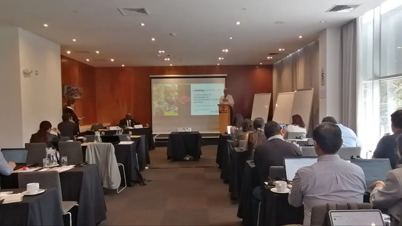 Perú busca estrategia de financiamiento a favor de los bosques