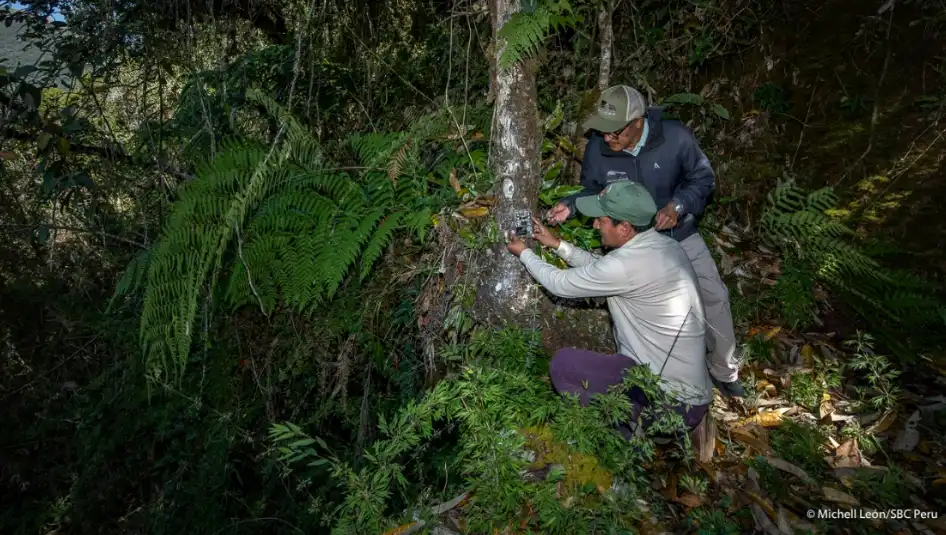 Las cámaras trampa: Instrumentos para descubrir nuestra rica biodiversidad