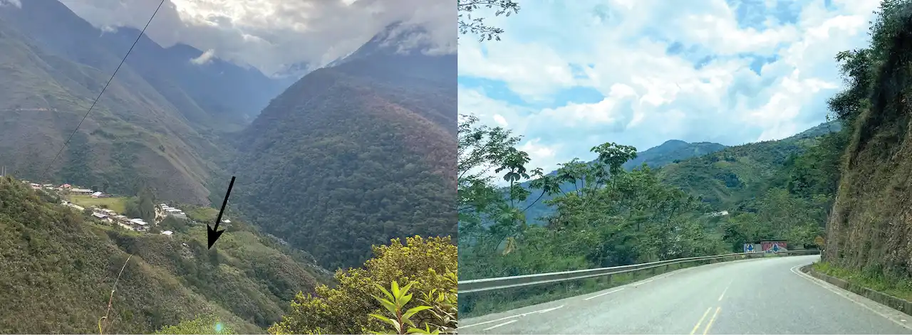 Reportan descubrimiento de nueva especie de rana en la región Ayacucho