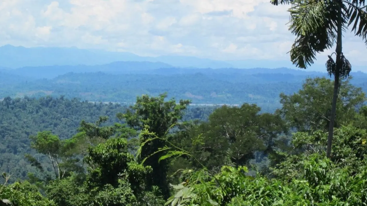 reserva-comunal-ashaninka