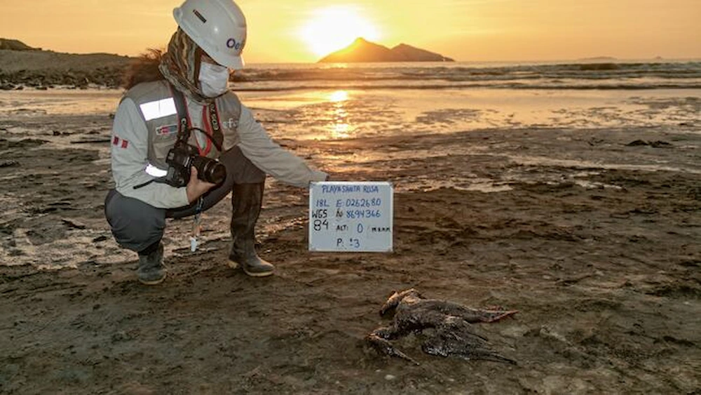 En enero de 2023, el OEFA le impuso a Repsol sanciones por S/ 22 millones. (Foto: OEFA).