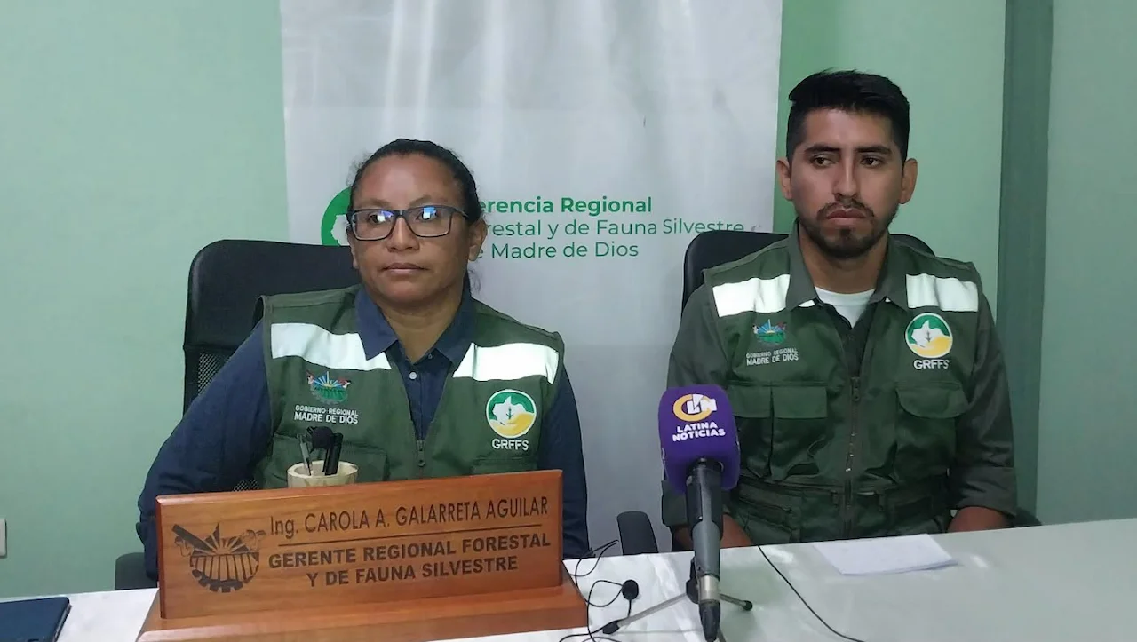 Madre de Dios: Puma muere de asfixia tras mala práctica hecha tras su captura 