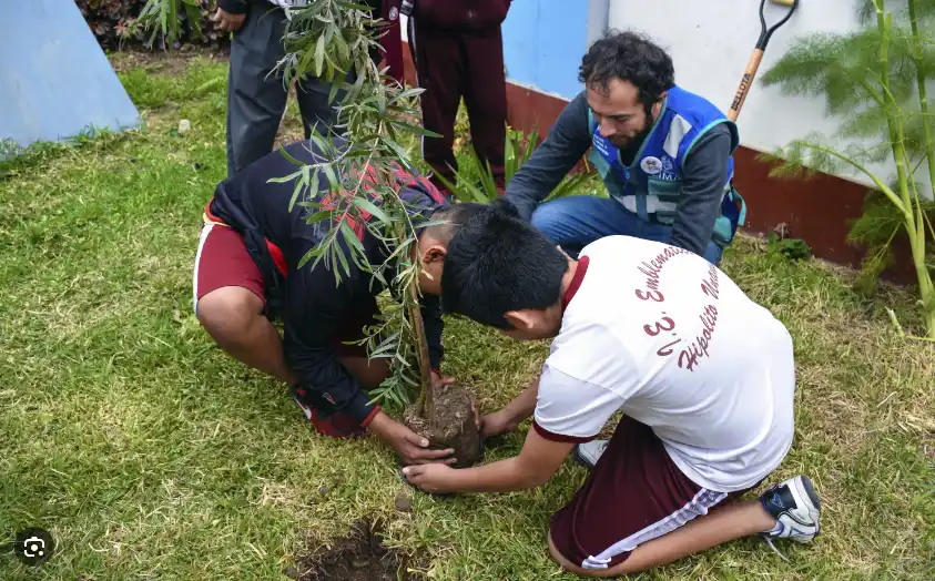 Emisiones de dióxido de carbono: Insumo que abona al cambio climático