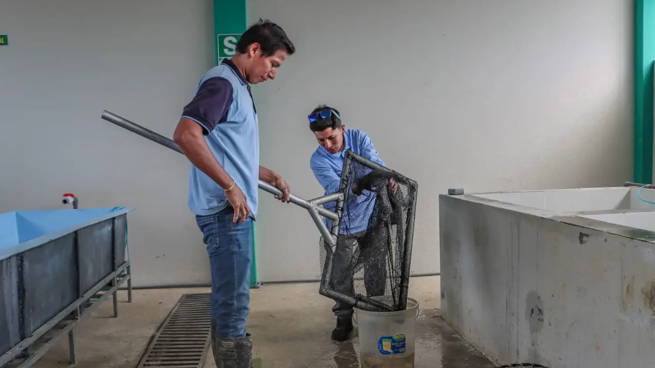 Junín: Impulsarán crianza acuícola en 14 localidades