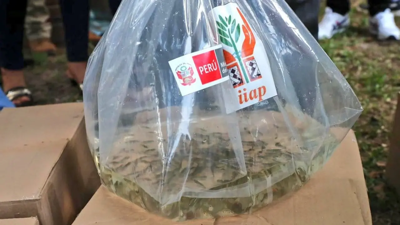 minam-comunidades-amazonicas-loreto-3