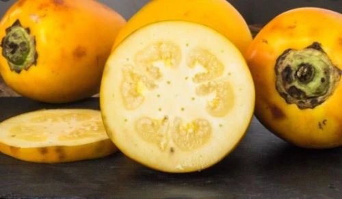 La cocona es considerada el “tomate de la Amazonía”, ayuda a combatir la anemia. Posee vitaminas fundamentales para una buena nutrición y un potente sistema immune (A, C y del complejo B). La vitamina B5 (ácido pantoténico) ayuda a pacientes anémicos a absorber mejor el hierro de los alimentos. (Foto: Andina).