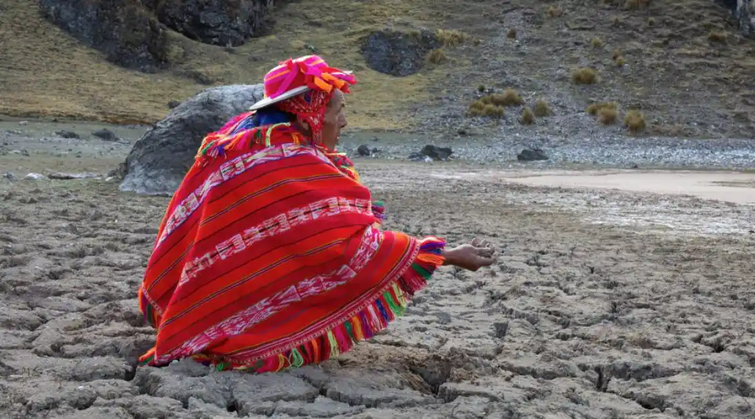 ONU: Reformas en legislación forestal peruana amenazan supervivencia de pueblos indígenas 