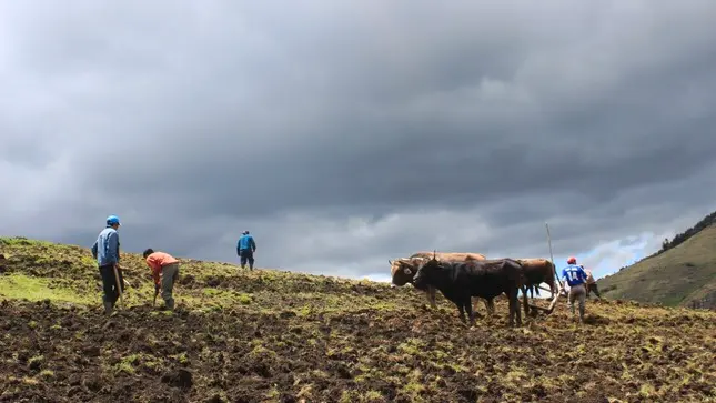 La colaboración entre científicos de reconocidas universidades es fundamental para impulsar este cambio. Foto: Difusión.