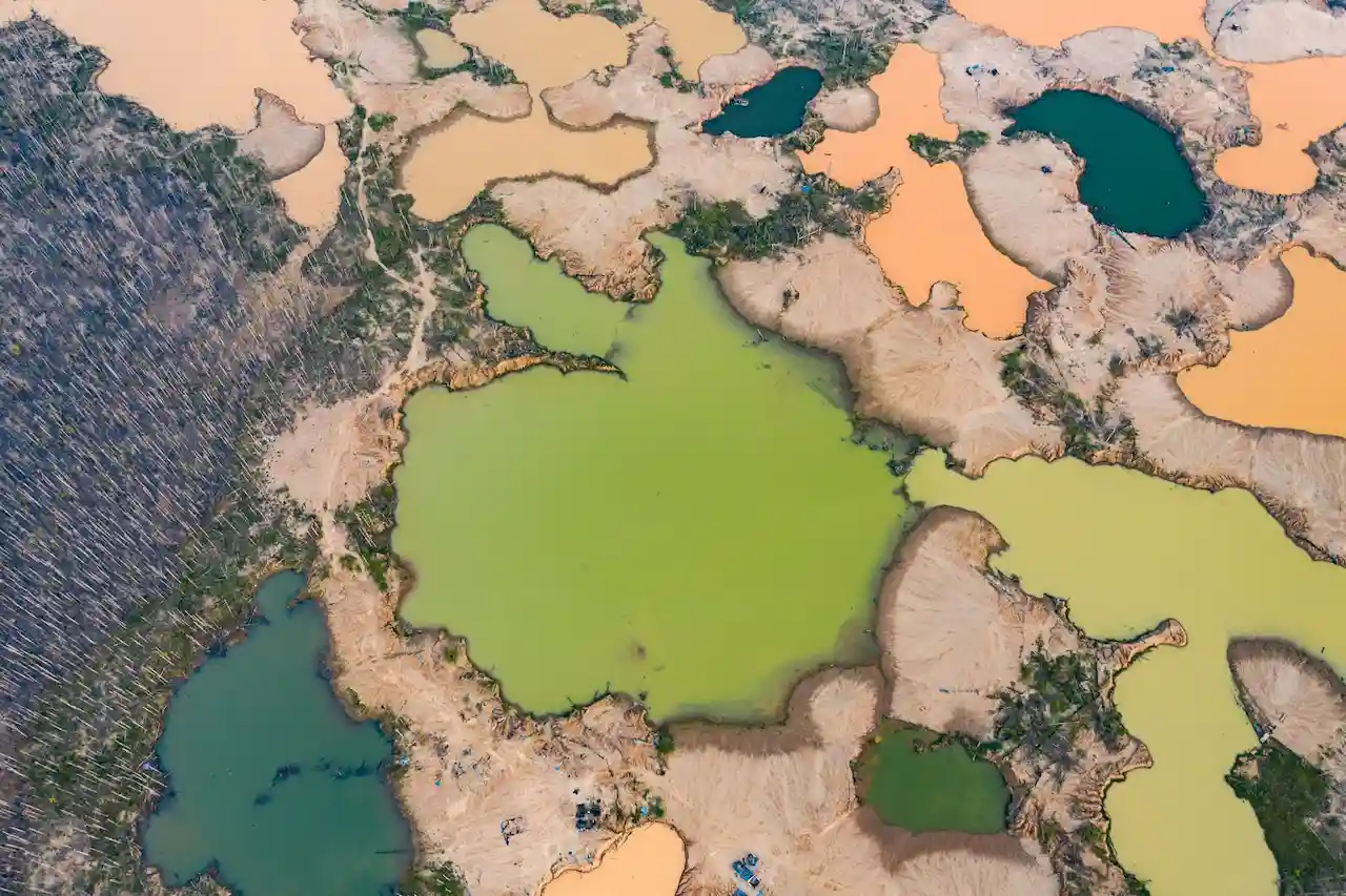 Madre de Dios: Bosques se convierten en humedales tras acción de minería ilegal