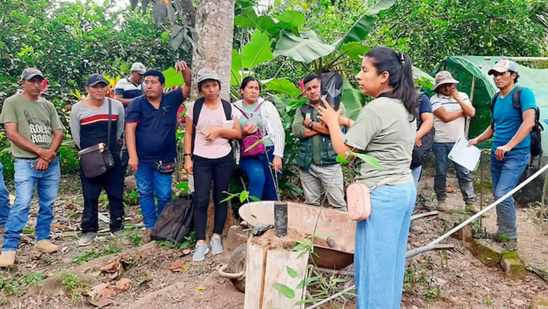El Proyecto Bambú es una iniciativa del Midagri a través de Provraem. (Foto: Midagri) 