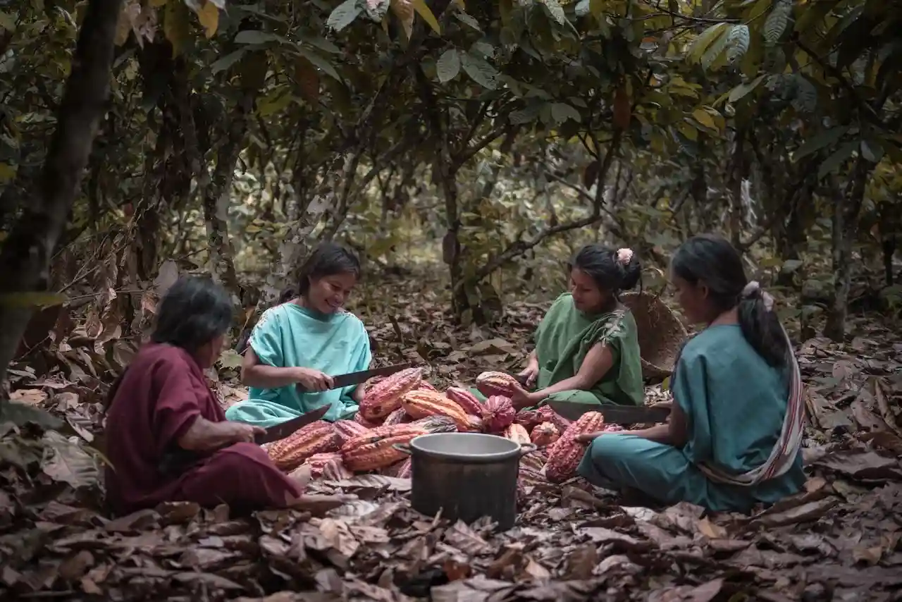 Kemito Ene: Econegocio asháninka que triunfa en Norteamérica y Europa