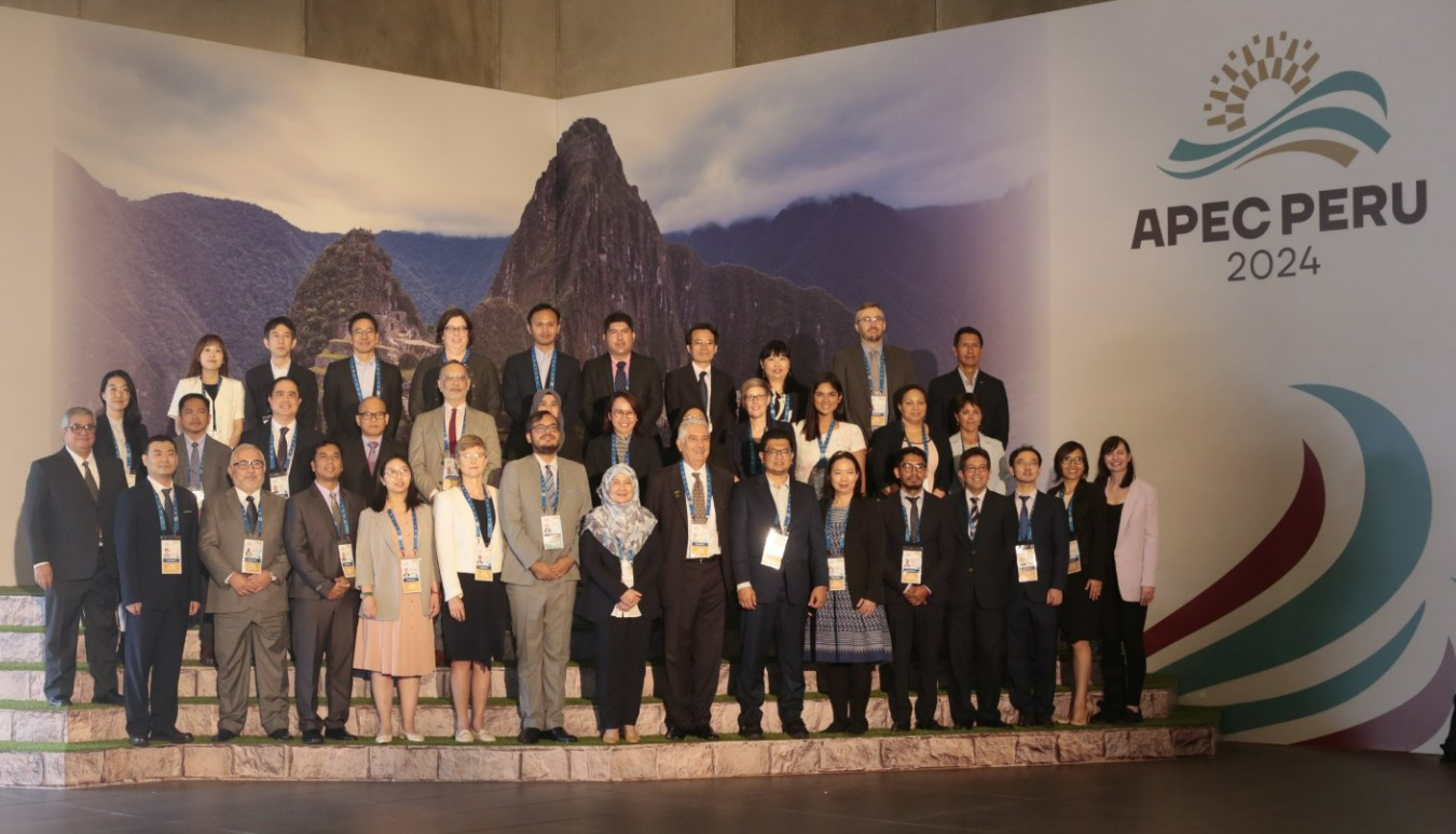 Perú difunde acciones de la lucha contra la tala ilegal ante economías del APEC