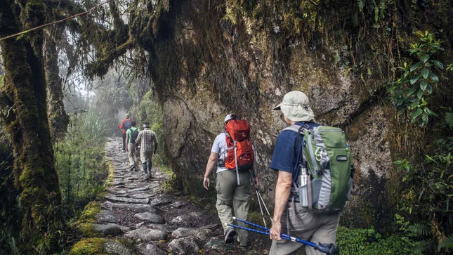 Turistas podrán acceder al Camino Inka a partir del 1 de marzo 