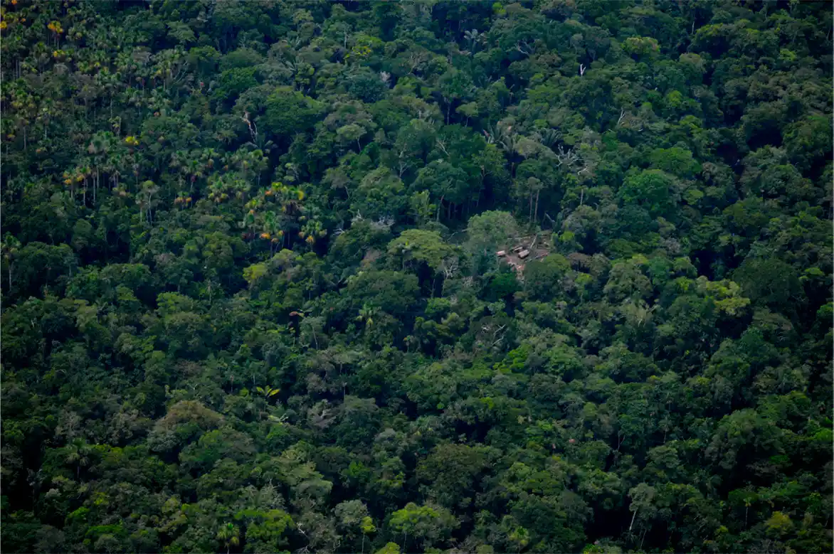 Fotografías aéreas de malocas de pueblos indígenas en aislamiento (Foto: ORPIO)