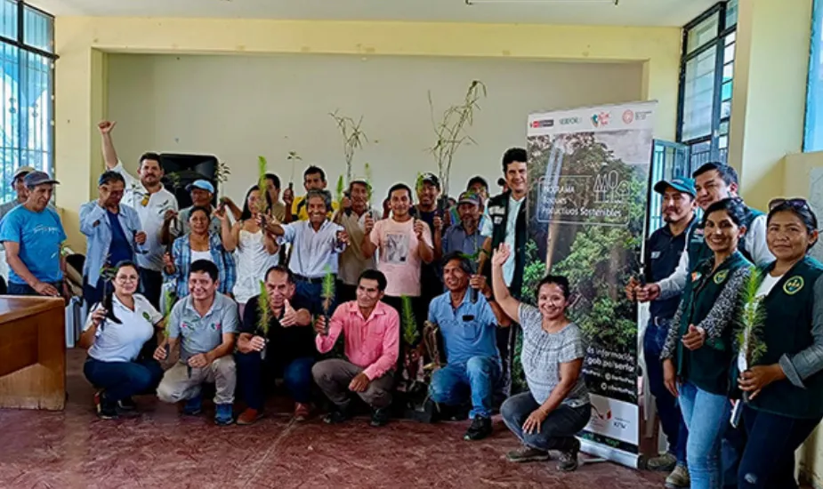 Promueven comercio de plantaciones forestales en Junín y Pasco