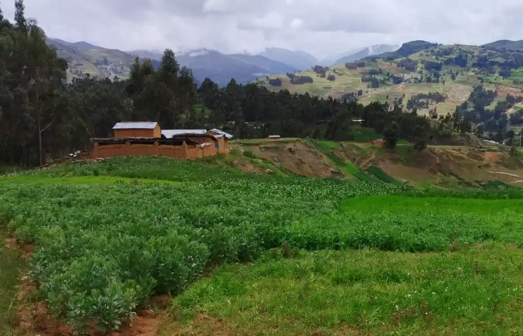 Las buenas prácticas agrícolas deben ser obligatorias en el Perú 