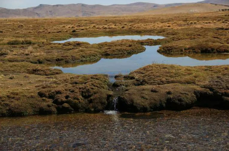 “No interiorizamos que el agua está alrededor de nosotros en más de un momento”