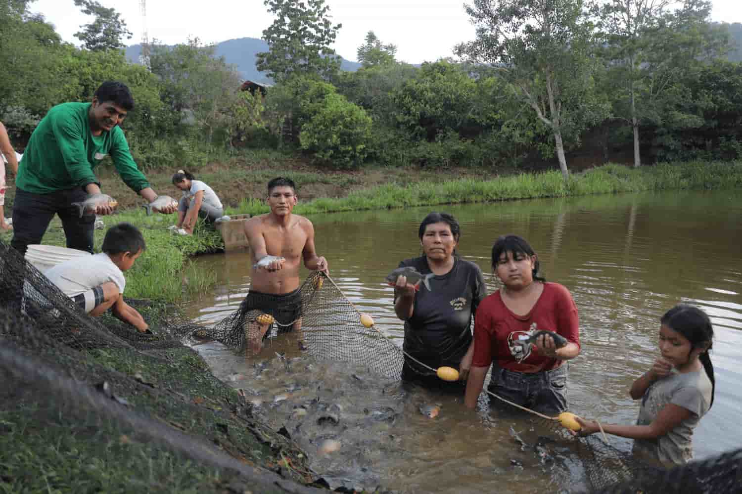 Vraem: Optimizan cadena de valor de trucha en Junín