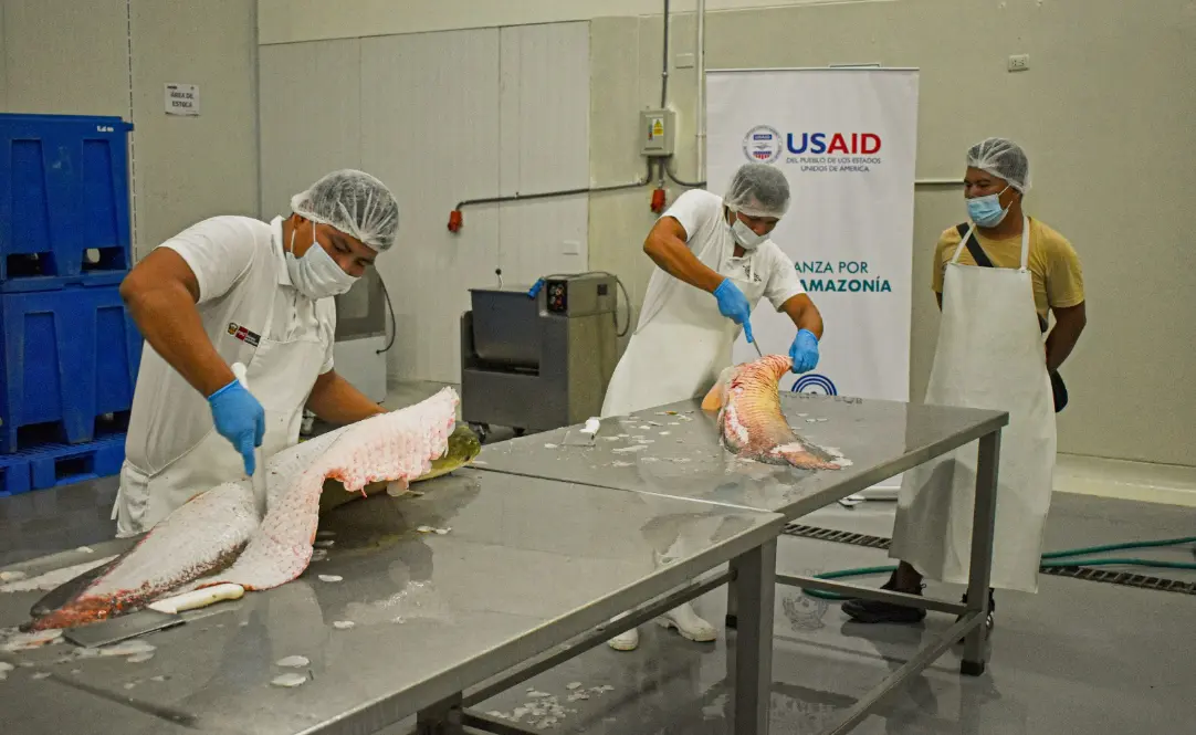 Ucayali: Piscicultores indígenas participaran en la feria "A Comer Pescado"