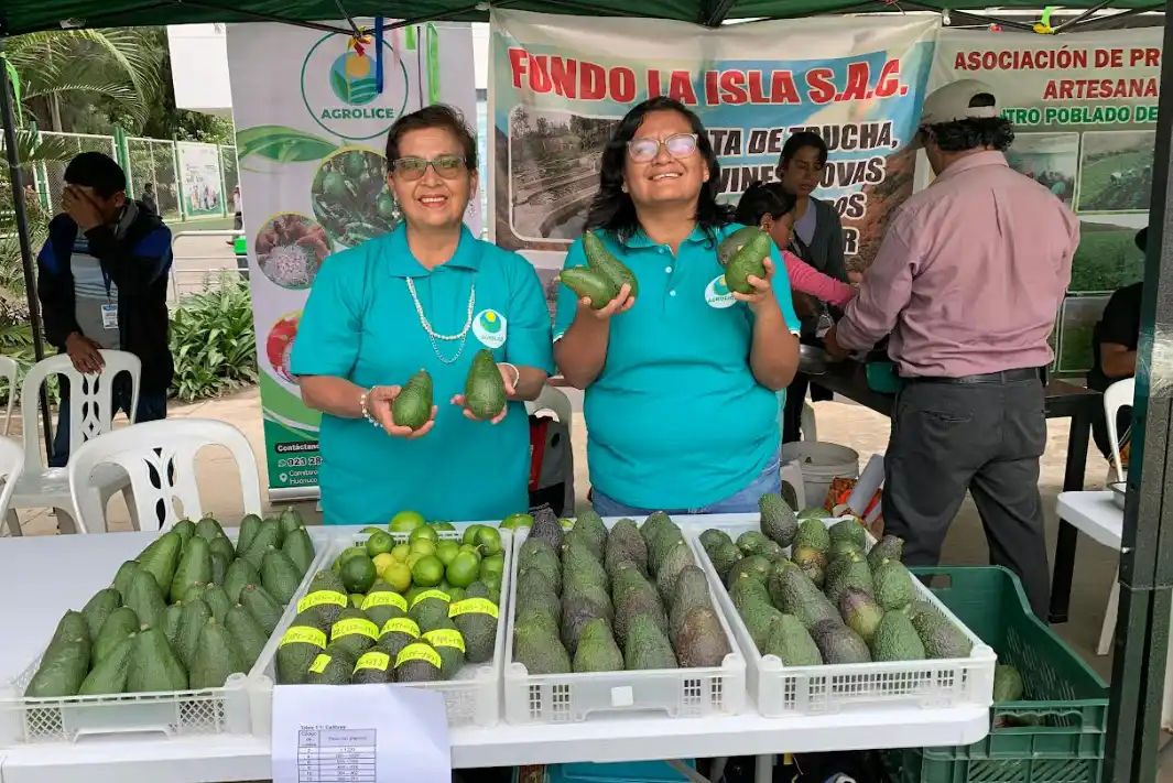 ¿Quieres expandir tu emprendimiento? ¡Postula al Procompite en Huánuco!