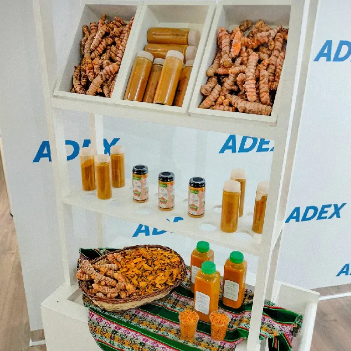 Iniciativa busca mejorar el posicionamiento de kion y cúrcuma a nivel mundial. (Foto: Municipalidad de Satipo).