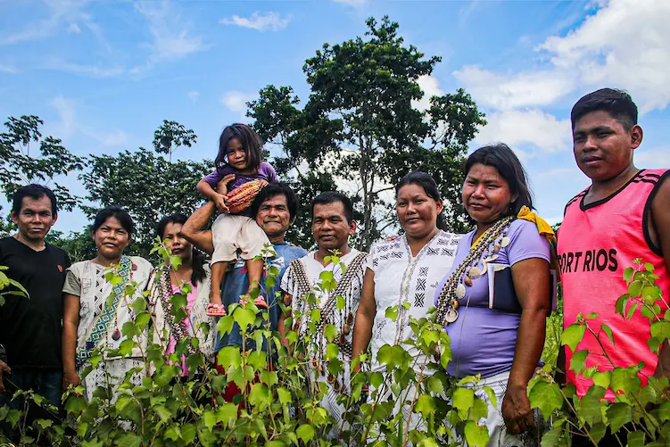 Ucayali: Comunidad nativa obtiene S/159 mil para mejorar producción de cacao