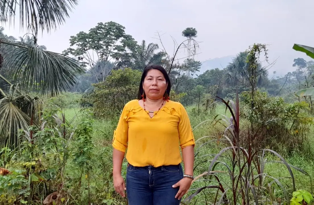 Minería ilegal amenaza la vida y el territorio de la comunidad awajún