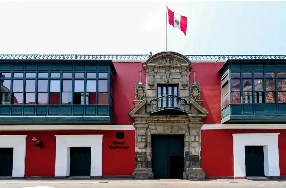 Tribunal-Constitucional-admite-demanda-de-inconstitucionalidad-contra-ley-antiforestal