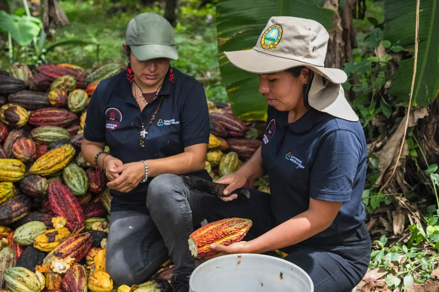Mujeres del Vraem fortalecen sus capacidades en la cadena de valor del cacao