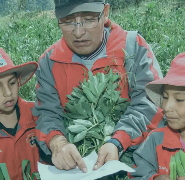 Ministerio de Educación presenta libro que fomenta conciencia ambiental entre estudiantes