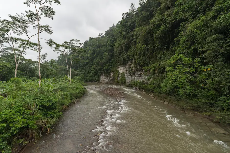 Bosque de Protección San Matías San Carlos es amenazado por actividades ilícitas y construcción de carreteras