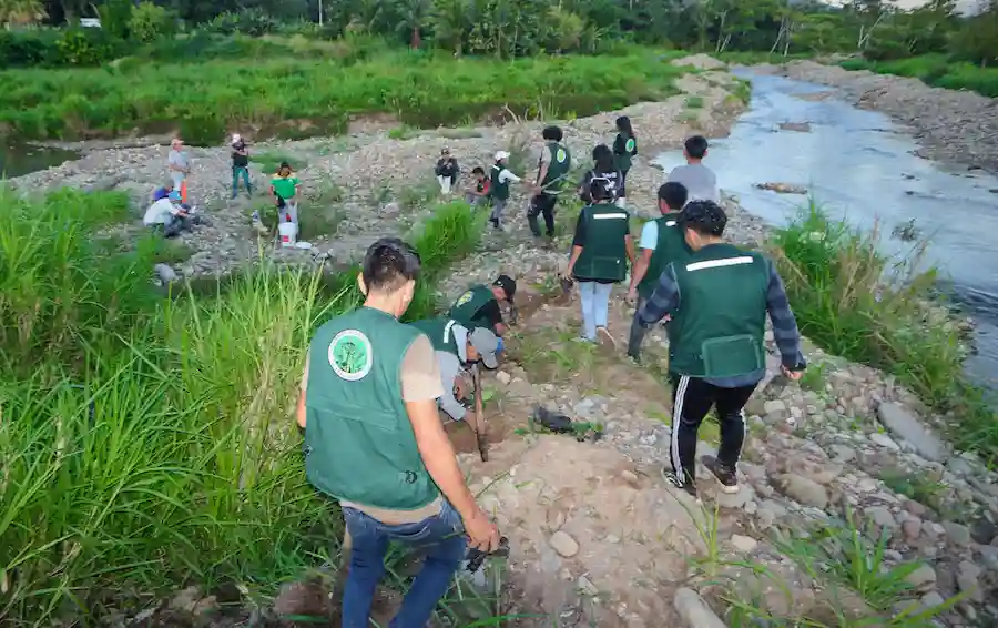 Junín: Realizan jornada de reforestación en la Reserva de Biosfera Avireri Vraem
