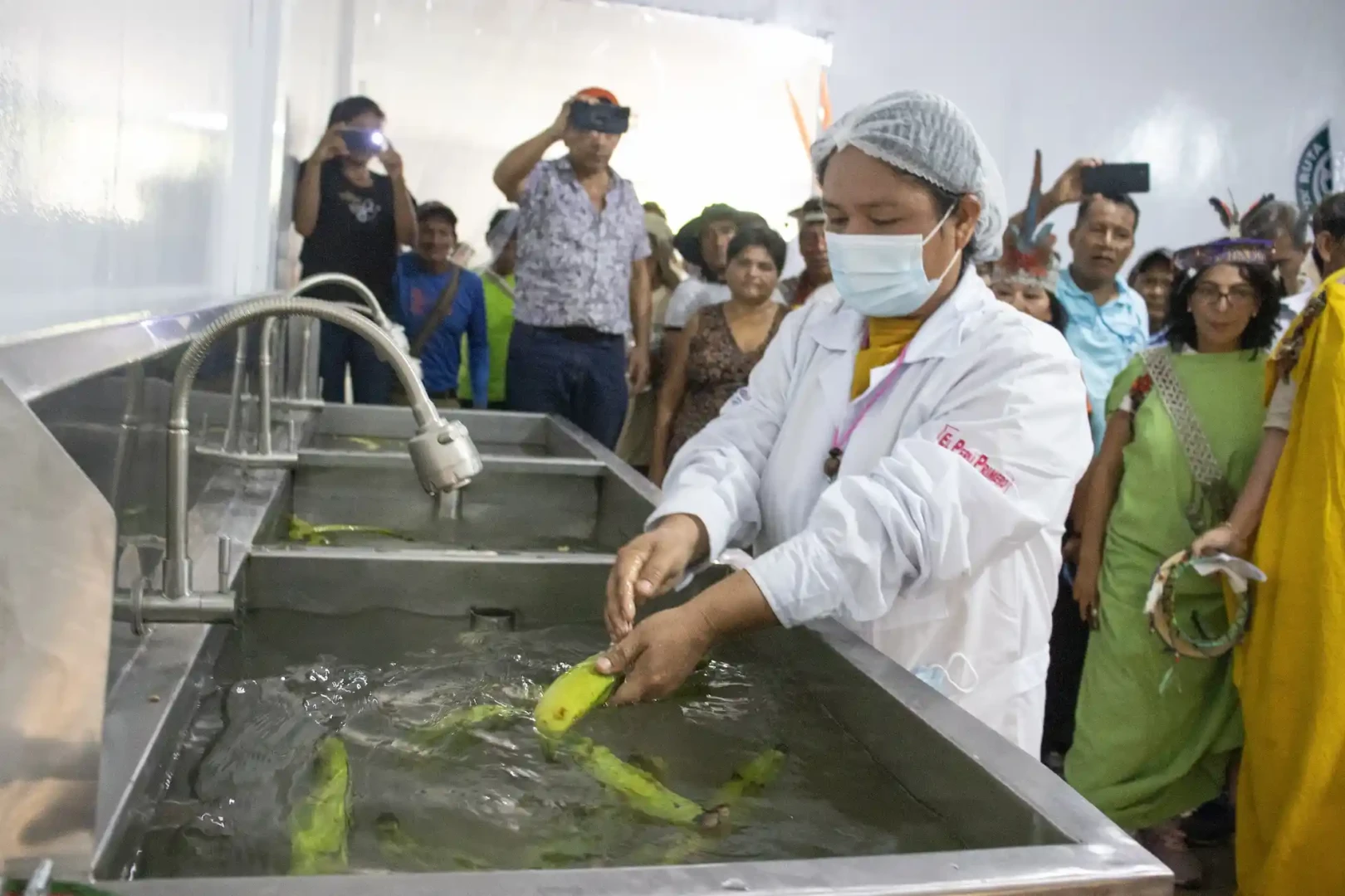 Comunidades nativas de Pasco se benefician con la producción de plátanos y peces amazónicos