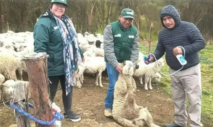Huamalíes: Articulan en acciones para gestión de riesgos agropecuarios