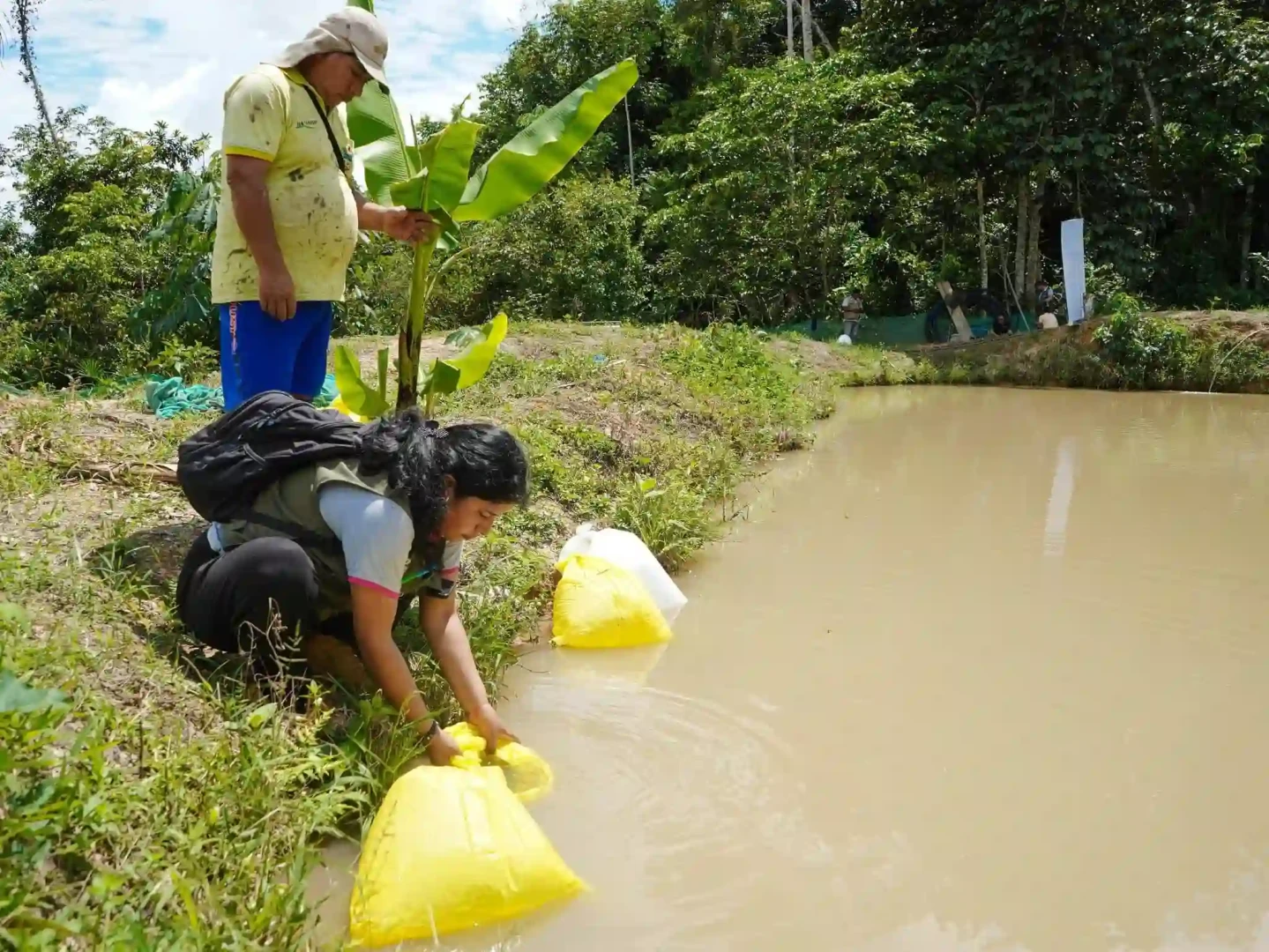 Huánuco: Entregan 9000 alevinos a familias de Leoncio Prado