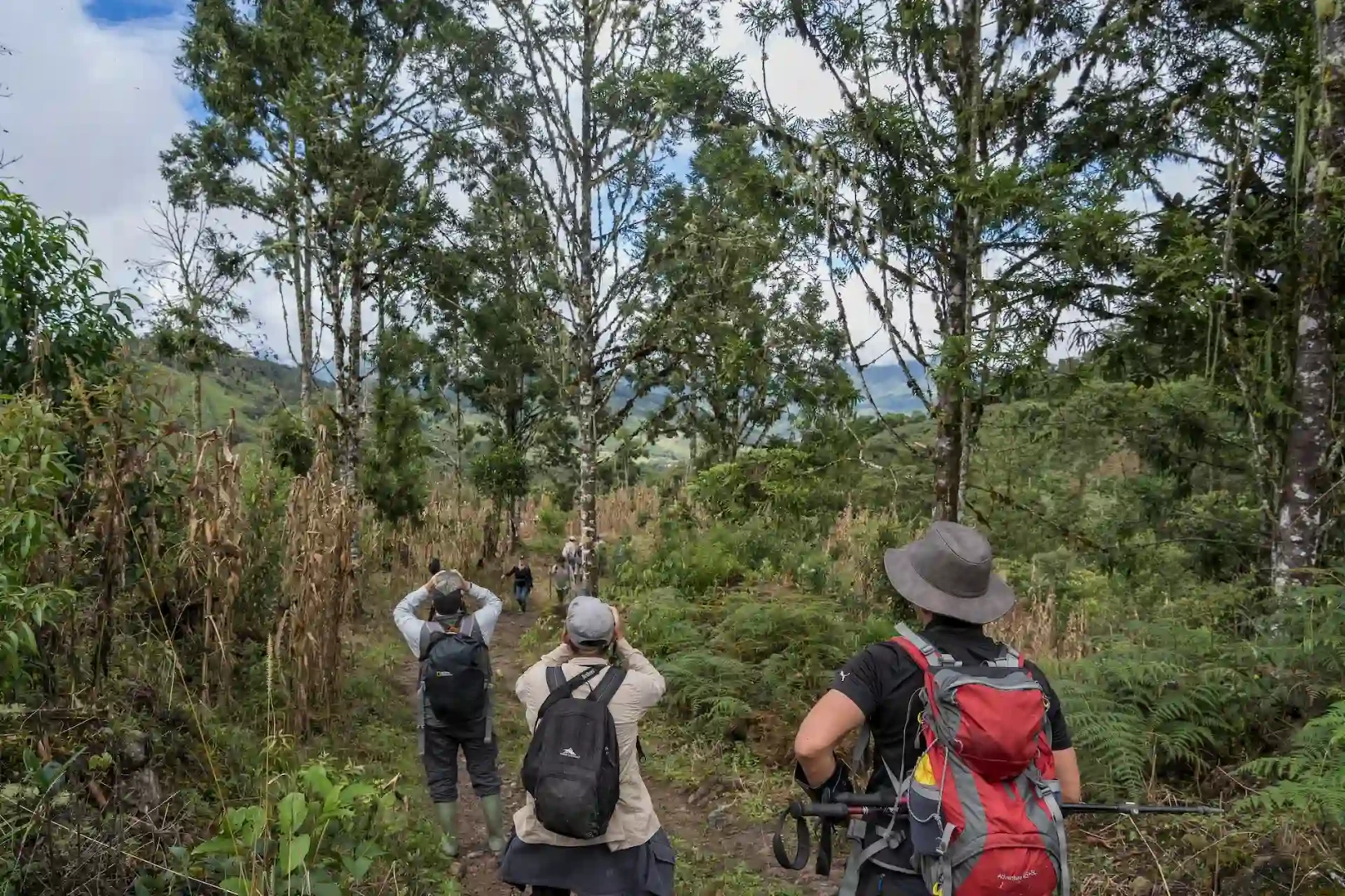 Global Big Day: Una oportunidad para el avistamiento de aves en Oxapampa