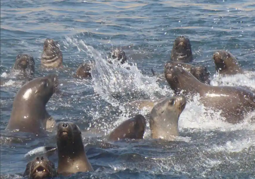 El Perú cuenta con el primer Inventario Nacional de Patrimonio Natural